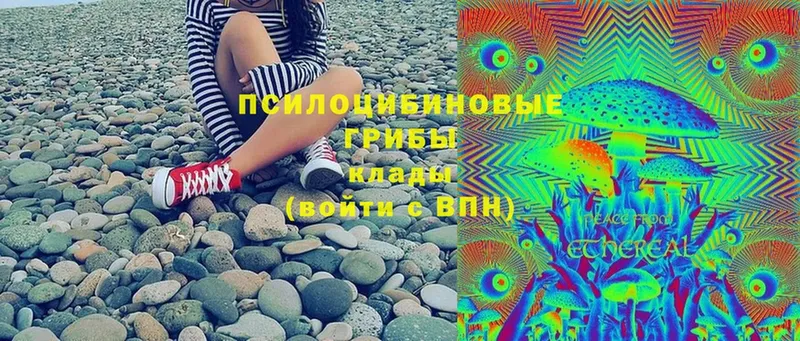 Галлюциногенные грибы Cubensis  наркота  Рязань 